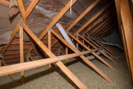 Comment &eacute;radiquer un nid de frelons en toute s&eacute;curit&eacute; ?